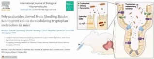 72886必赢网址郭世宁/吕伟杰团队揭示经典复方“参苓白术散”通过宿主色氨酸代谢菌调控肠道炎症的新机制